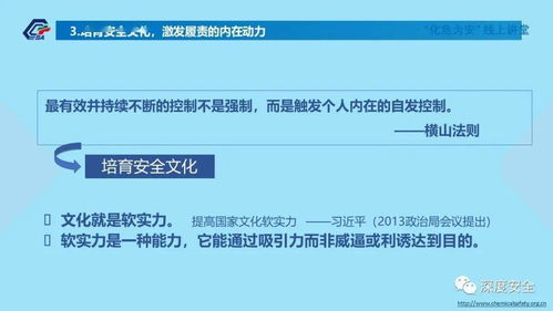 精品PPT 筑牢防線，共筑平安——互聯(lián)網(wǎng)安全服務(wù)機構(gòu)建立健全全員安全生產(chǎn)責任制指南